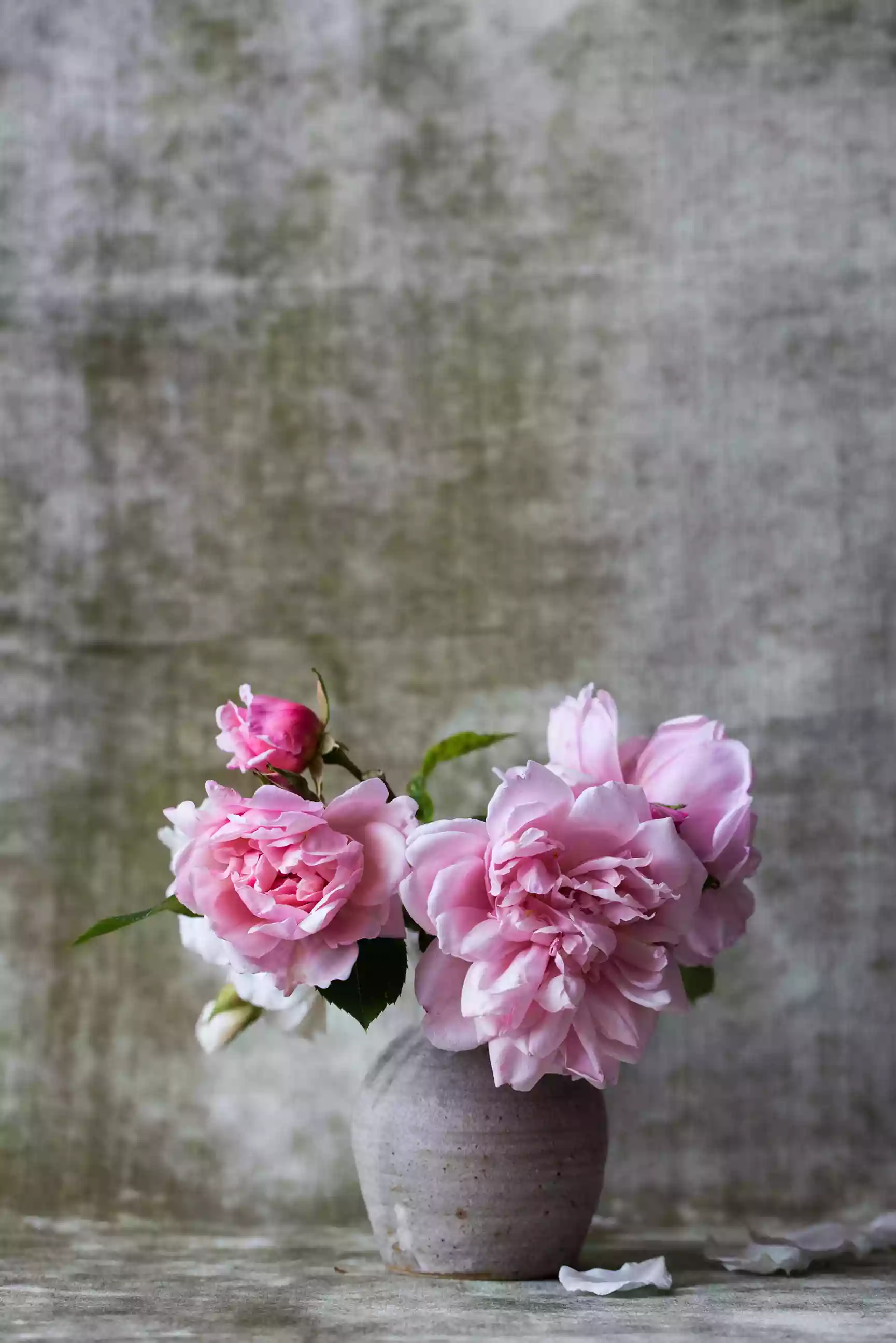 banner-image-2